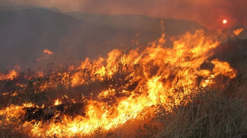 Κρήτη: Καίγεται δασική και γεωργική έκταση στον Άγιο Βασίλειο
